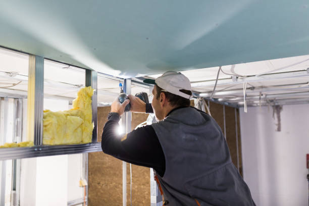 Best Insulation Installation Services in Ridgetop, TN